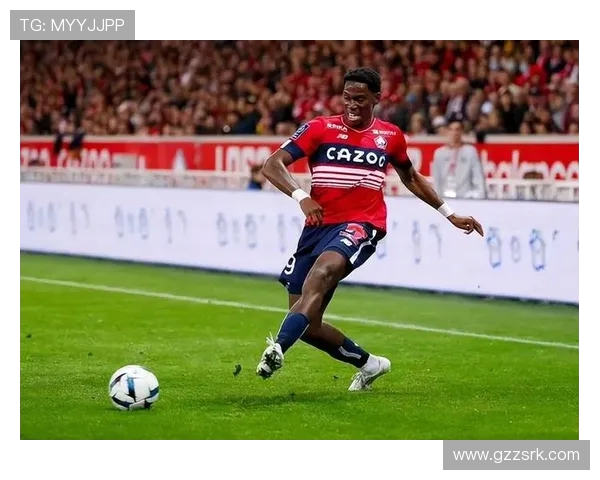 法甲进攻分布及场上空间利用研究